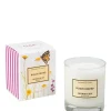 Online Black Orchid Perfumed Soy Candle Candles