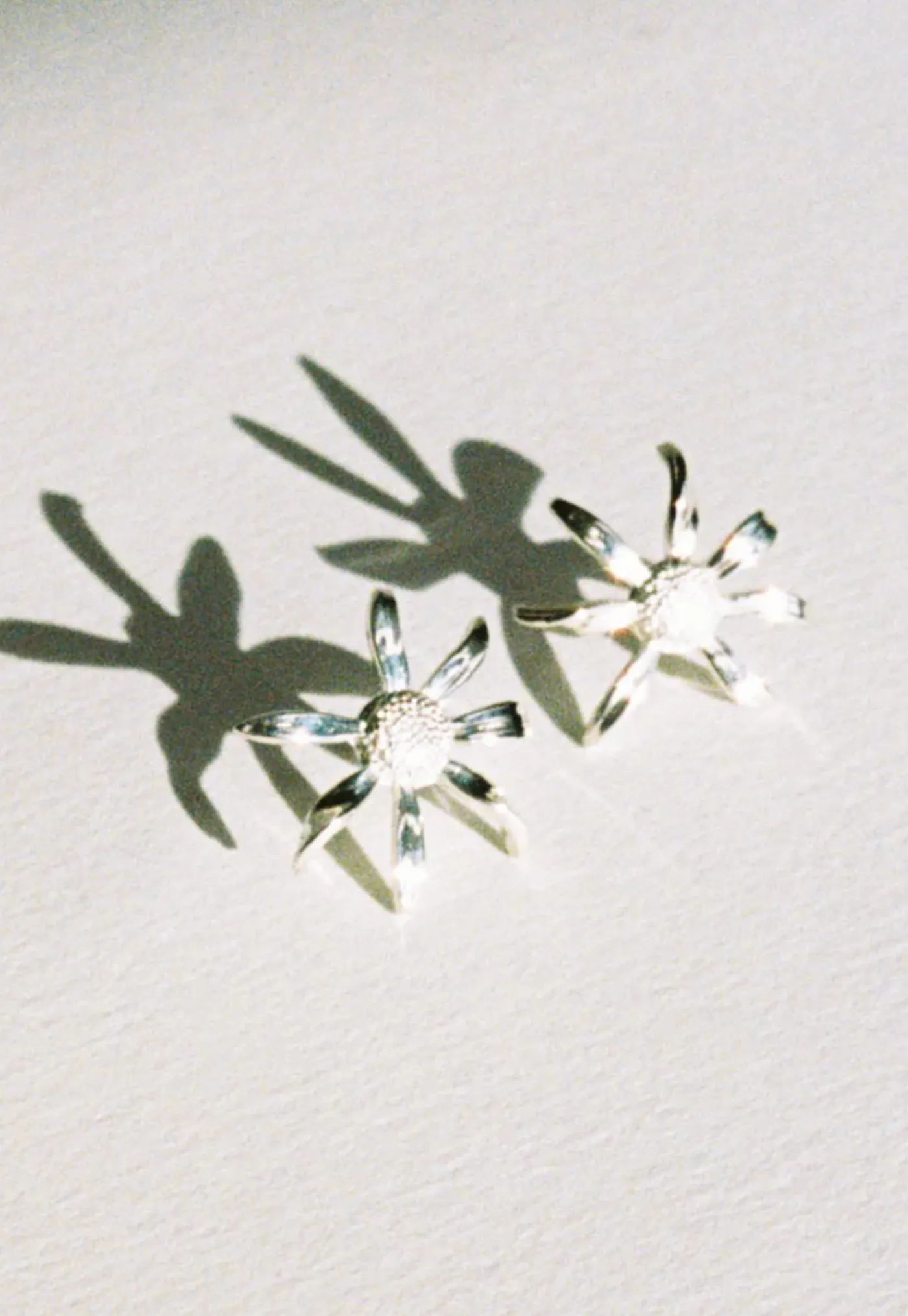 daisy_earrings_medium_4.webp Sale Daisy Earrings Medium Women Jewellery | Jewellery