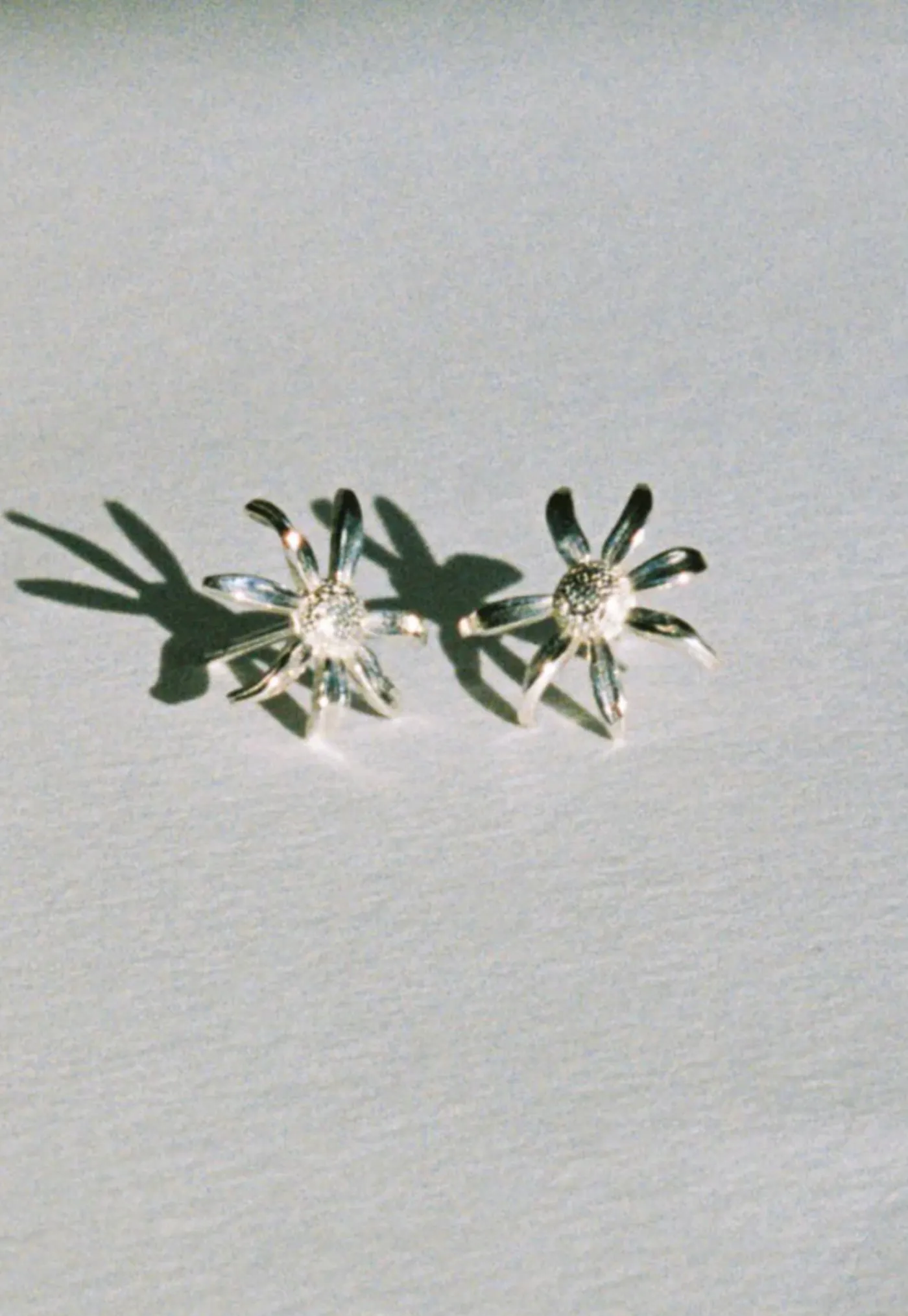 daisy_stud_earrings_4.webp Clearance Daisy Stud Earrings Women Jewellery | Jewellery