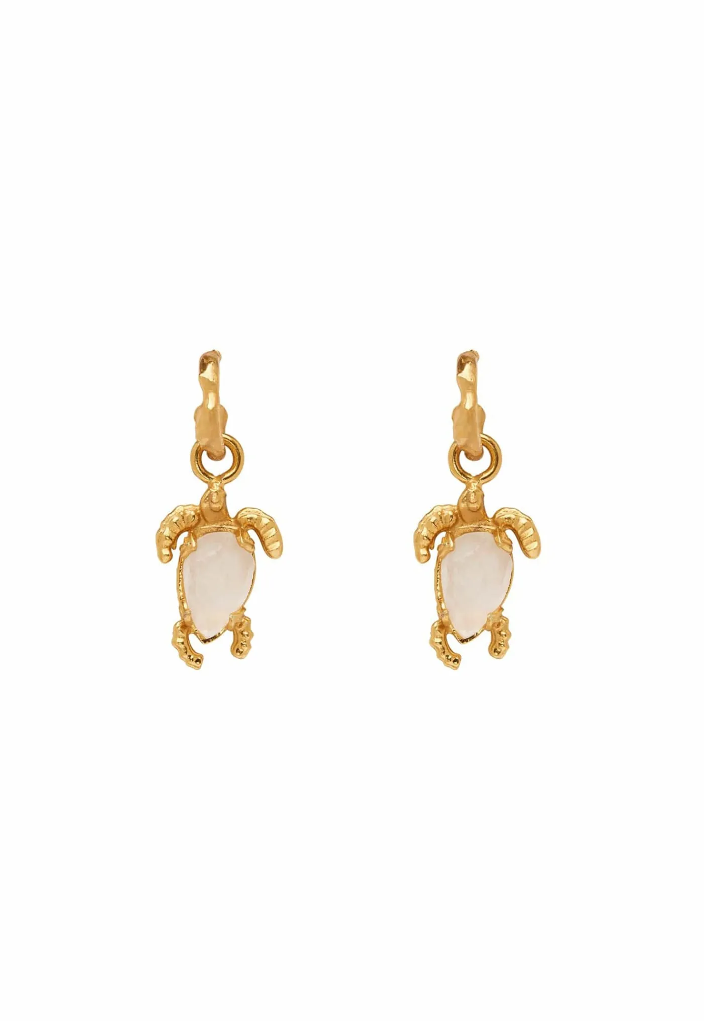 encanto_turtle_drop_earri_0.webp Discount Encanto Turtle Drop Earrings - Gold Women Jewellery | Jewellery