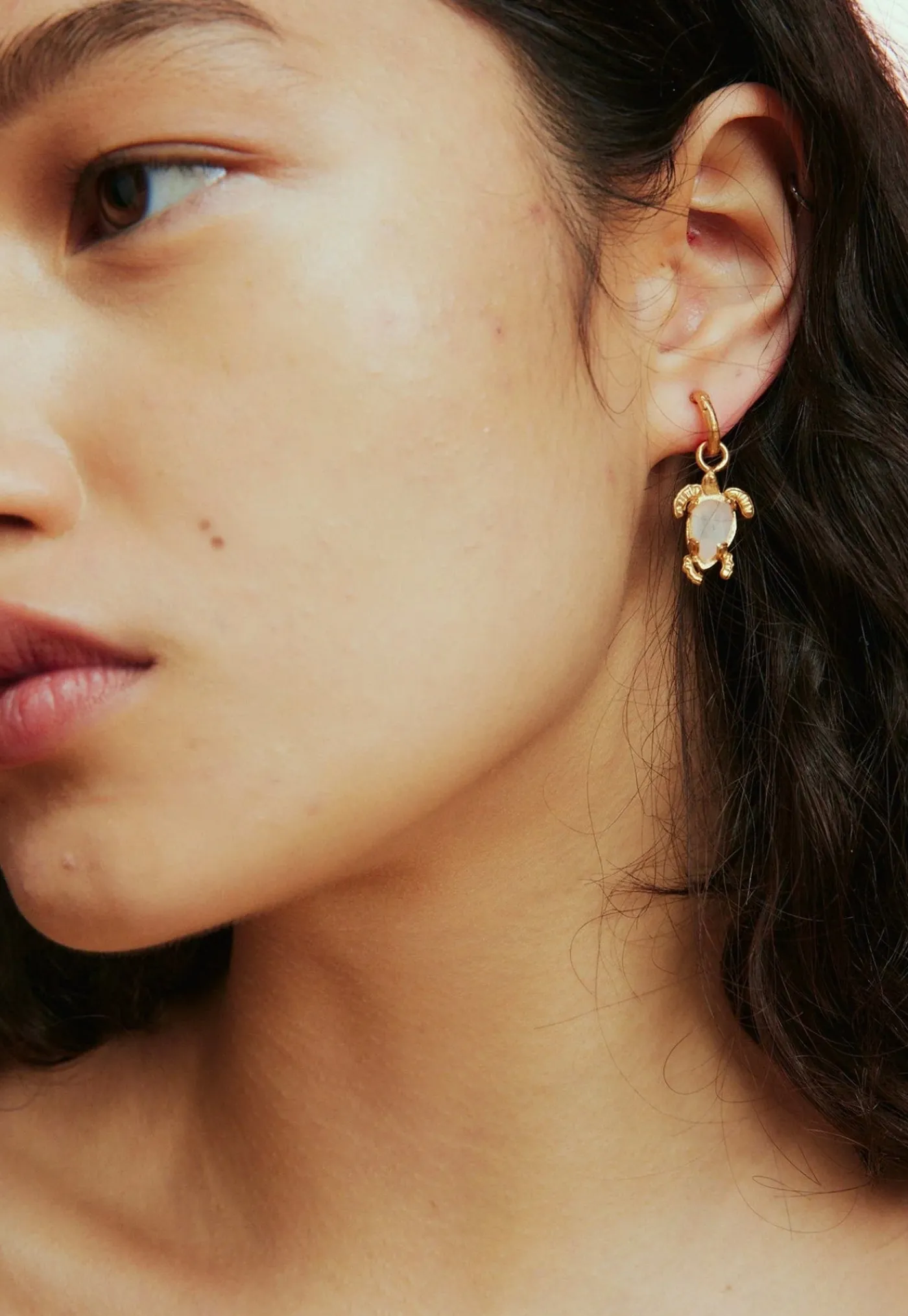 encanto_turtle_drop_earri_1.webp Discount Encanto Turtle Drop Earrings - Gold Women Jewellery | Jewellery