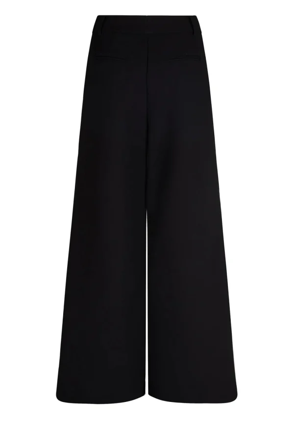 Best Flared Abel Trouser - Black Women Pants