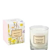 Best French Pear Perfumed Soy Candle Candles