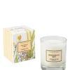 Online Grapefruit & Mint Perfumed Soy Candle Candles