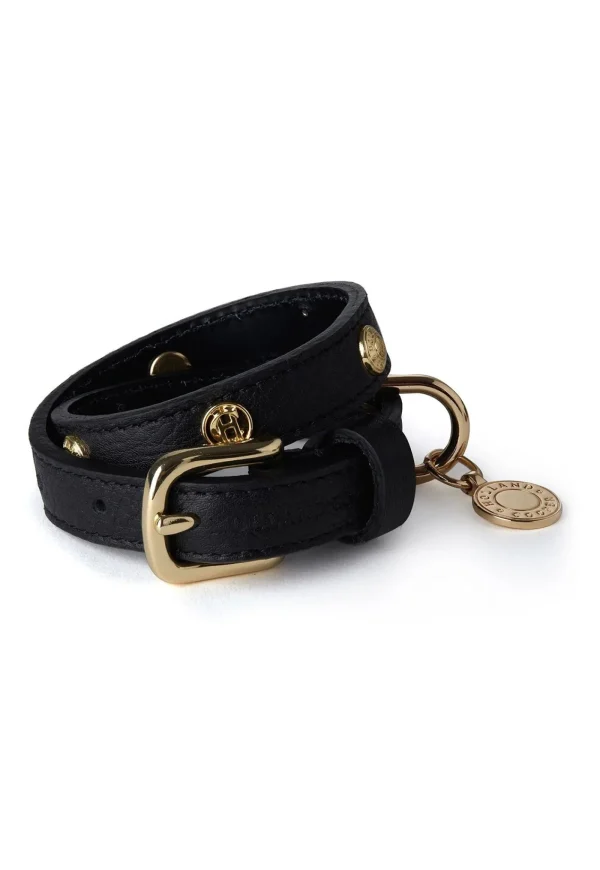 Online HC Studded Dog Collar - Black Pets