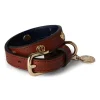Hot HC Studded Dog Collar - Chestnut Pets