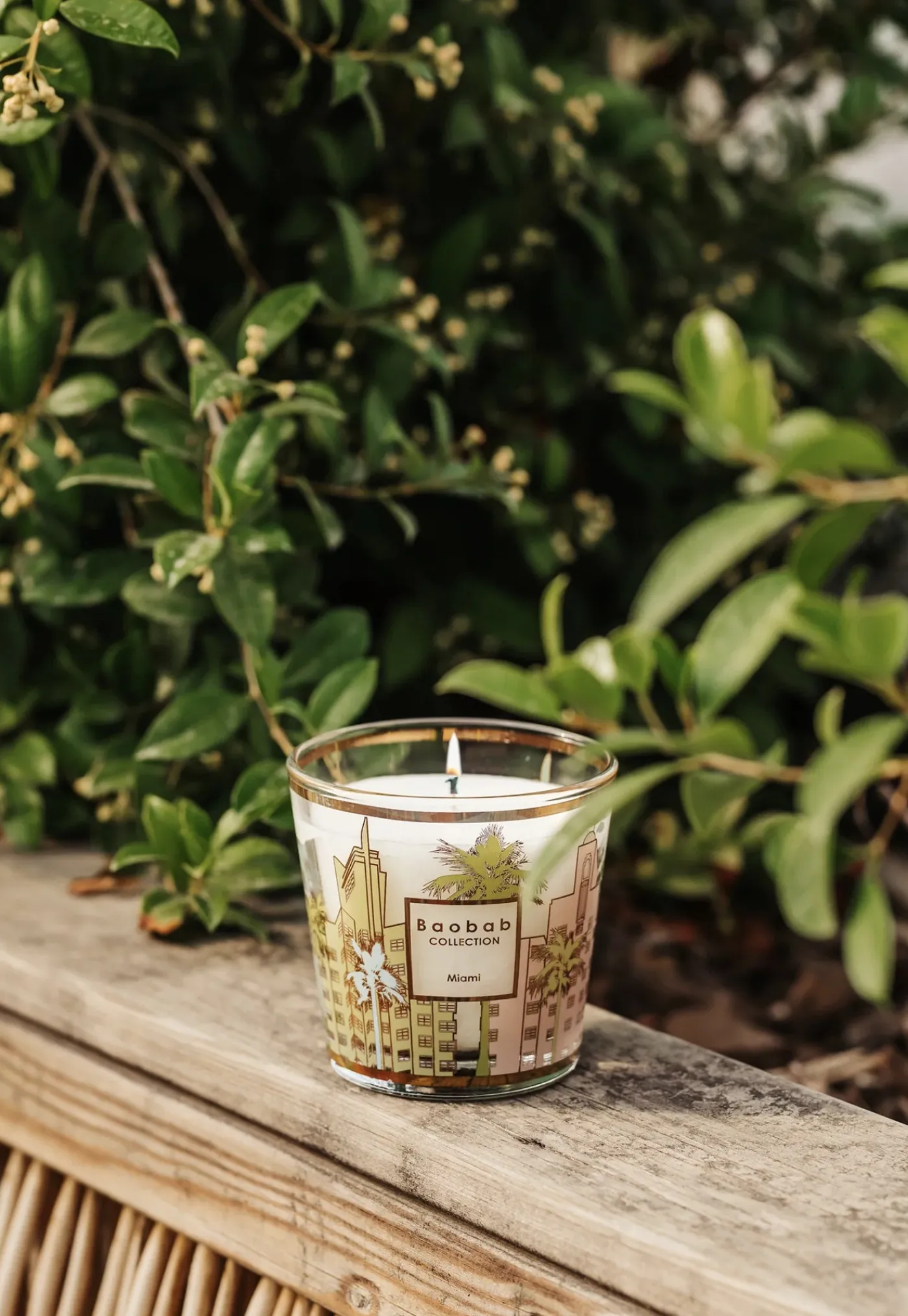 my_first_baobab_candle__m_1.webp Online My First Candle - Miami Candles