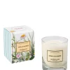 Outlet Vanilla & Anise Perfumed Soy Candle Candles