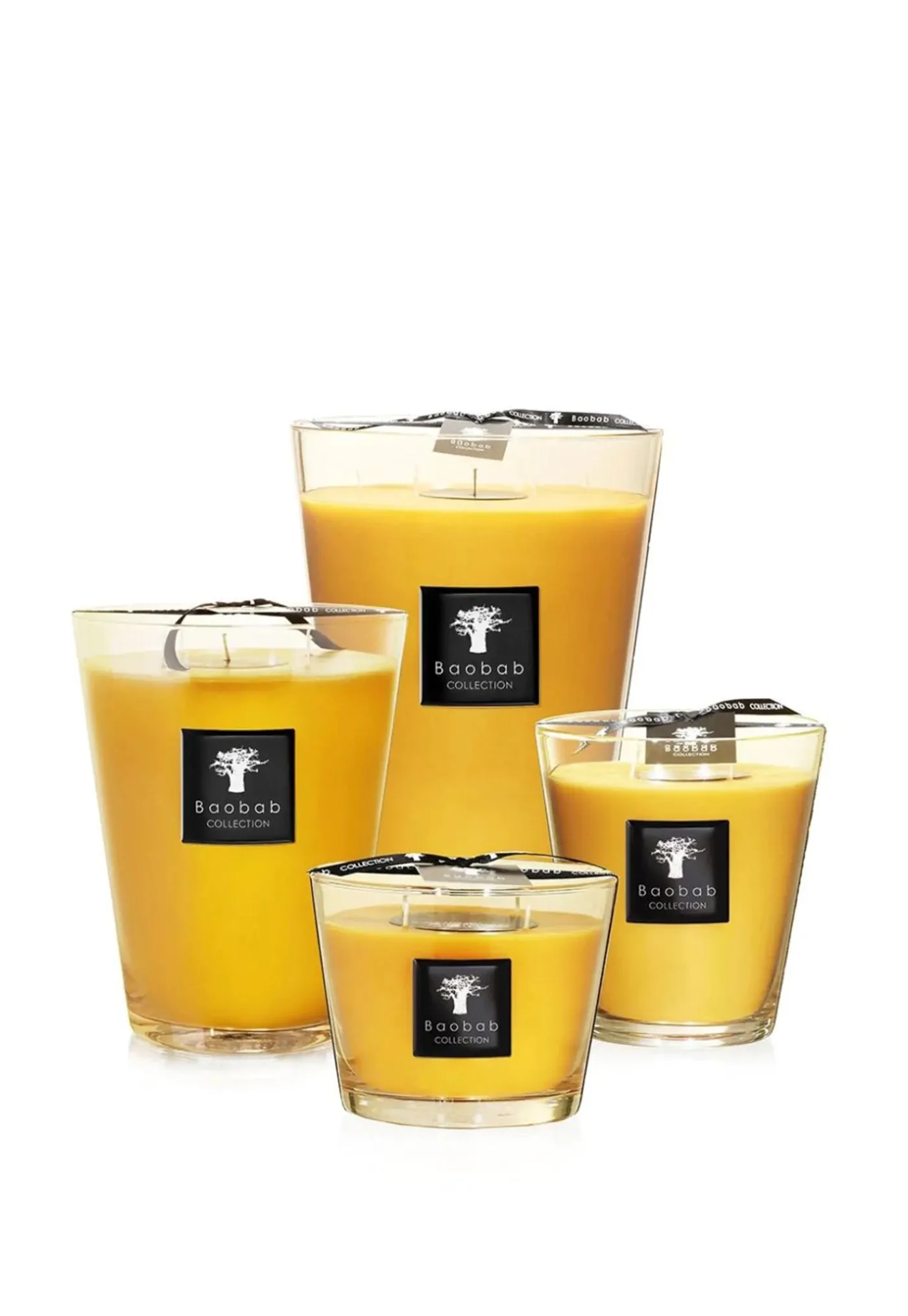 zanzibar_spices_luster_sc_0.webp Fashion Zanzibar Spices Luster Scented Candle Candles